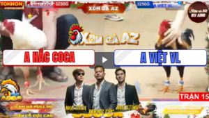 Trận 15 Tonhon 19/12/2025