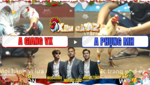 Trận 31 CPC4 18/12/2025