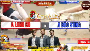 Trận 38 Tonhon 19/12/2025