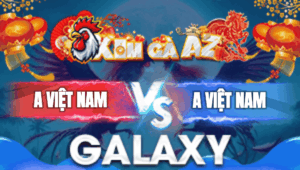 Trận 6 Bồ Galaxy 3/1/2026 - Gà Xanh Đá Đỏ Lọt Tim Chết Từ Trong Ra Ngoài