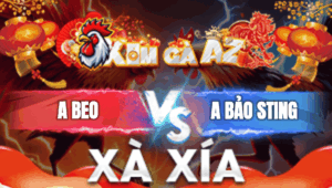 Trận 10 Bồ Xà Xía 1/1/2026 - Bảo Sting Ăn Độ Gà Xổ 300 Triệu