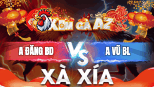 Trận 25 Bồ Xà Xía 1/1/2026 - Đăng Bình Dương Hạ Vũ Bạc Liêu