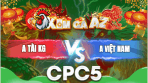 Trận 33 Bồ CPC5 7/1/2026 - Tài Kiên Giang Gặp Thách Thức Lớn