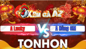 Trận 17 Tonhon 9/1/2026