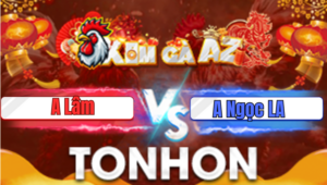 Trận 12 Tonhon 16/1/2026
