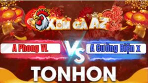 Trận 23 Tonhon 7/1/2026