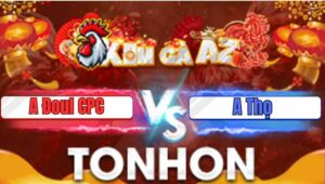 Trận 34 Tonhon 7/1/2026