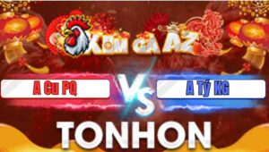 Trận 2 Tonhon 7/1/2026