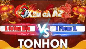 Trận 3 Tonhon 7/1/2026