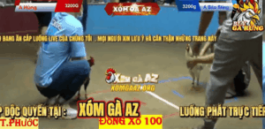 Trận 1 Bồ Thường Phước 17/1/2026 - Bảo Sting Ra Sân Khởi Đầu Tại Bồ Và Cái Kết