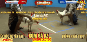 Trận 2 Bồ Thường Phước 17/1/2026 - Bảo Sting Đụng Hàng Xịn Và Cái Kết