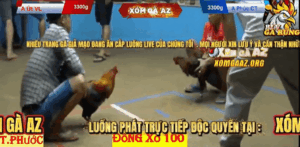 Trận 8 Bồ Thường Phước 17/1/2026 - Phúc Cần Thơ Gặp Anh Út Vĩnh Long Xổ 100 Triệu